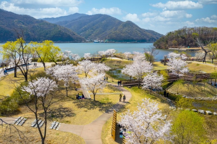 남양주 물의 정원+다산생태공원+팔당전망대+양평 두물머리+배다리+세미원 연꽃문화제+