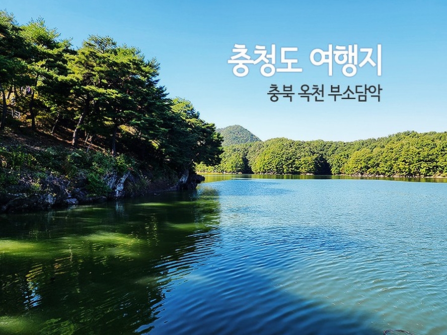 천상의정원 옥천 수생식물학습원+부소담악 절경+대청호 명상정원+한국의 앙코르와트 상소동 산림욕장
