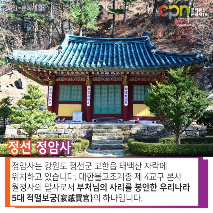 태백 해바라기축제(구와우마을)+시원한 용연굴+만항재 야생화축제+적멸보궁 정암사 복제