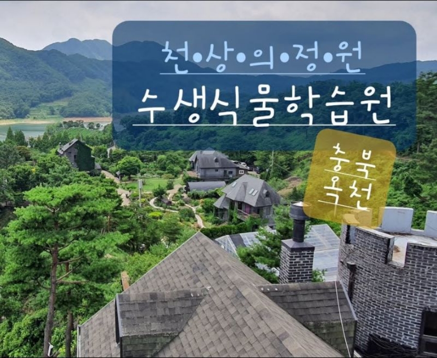 천상의정원 옥천 수생식물학습원+부소담악 절경+대청호 명상정원+한국의 앙코르와트 상소동 산림욕장