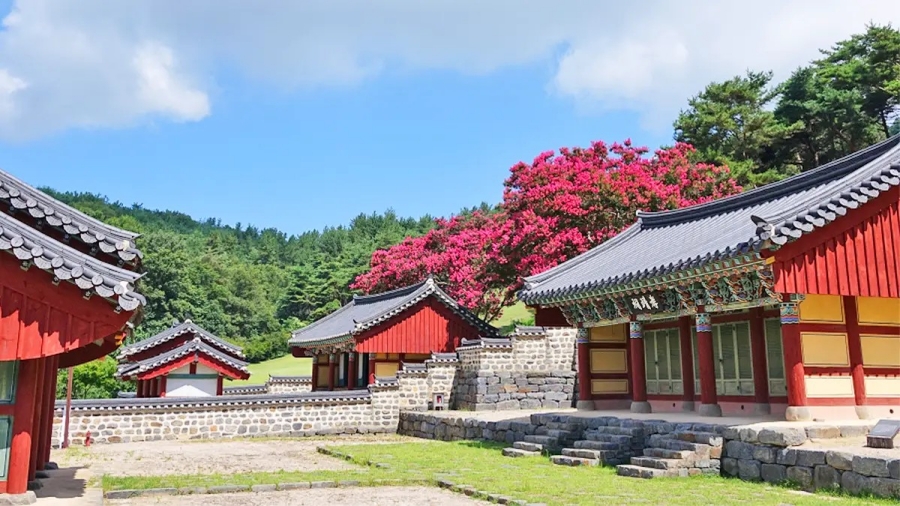 장항 맥문동 꽃 축재+아가페정원+서천 문헌서원 베롱나무+황등석산 채석장 전망대+익산 교도소세트장