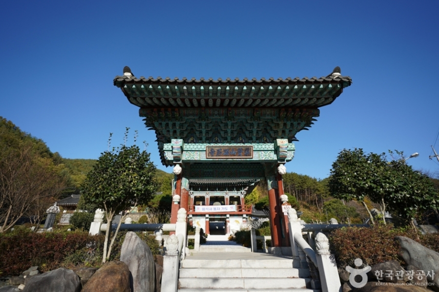 [3사찰] 진주 월아산 수국 수국 페스티벌+사천 다솔사(천년고찰)+진주 응석사+진주성 호국사