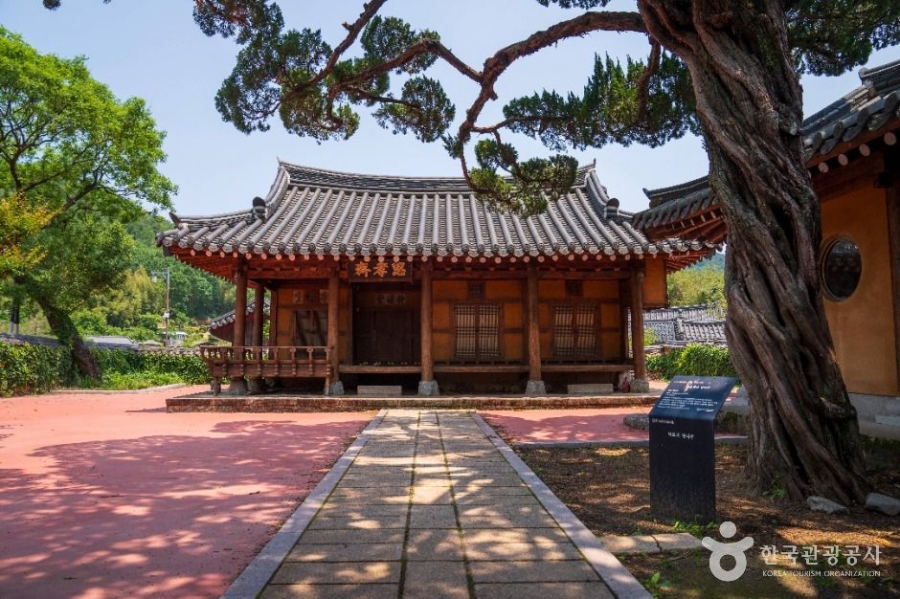 합천 황매산 철쭉제+핫들생태공원 작약+전 구형왕릉+성철스님 생가 터 겁외사+남사예담촌