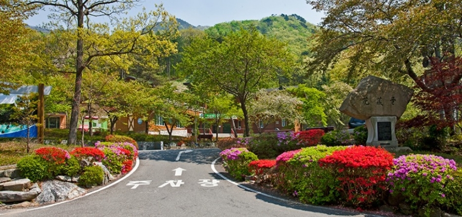 죽도 상화원(세상에서 가장 긴 지붕2km 산책길)+성주산 자연휴양림+청소역(택시운전사 촬영지)+충청수영성