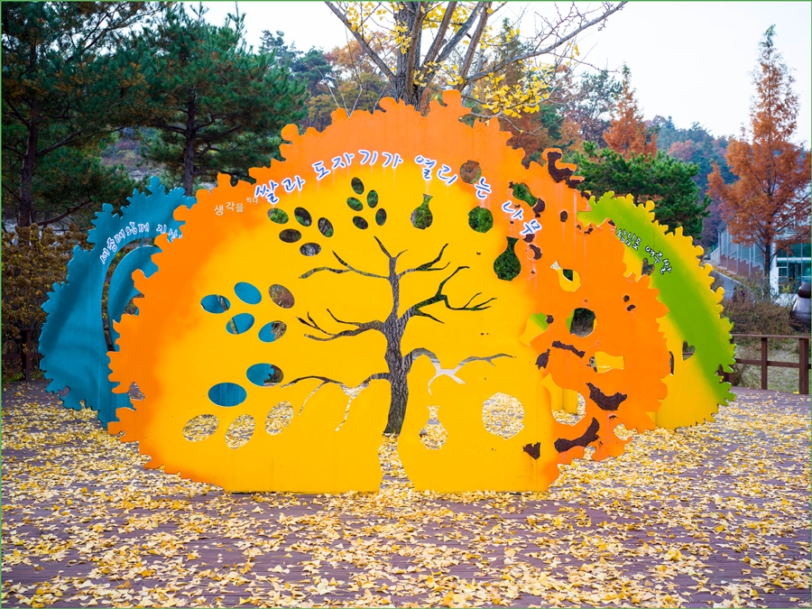 화담숲 가을단풍축제+여주 황학산 수목원+명성왕후 생가