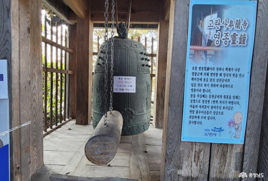 세종 대통령기록관+부여 서동연꽃 1,000만 송이(궁남지)+백마강유람선(황포돛배)+고란사+낙화암+부소산성+부여박물관