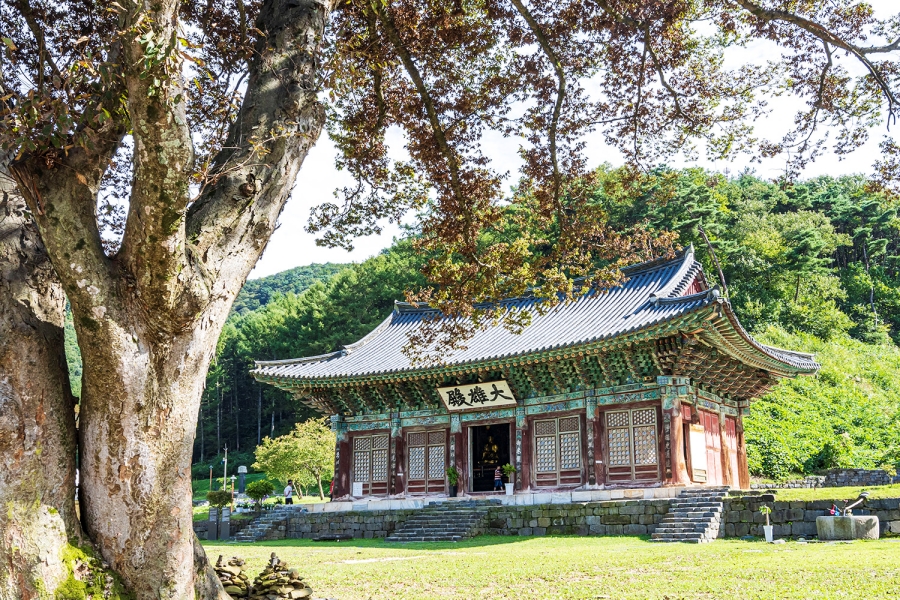 [논산 3사찰] 영주사+쌍계사+개타사+장태산자연휴양림+뿌리공원(효월드)