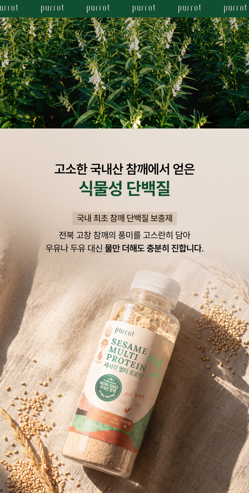 세사미 멀티 프로틴