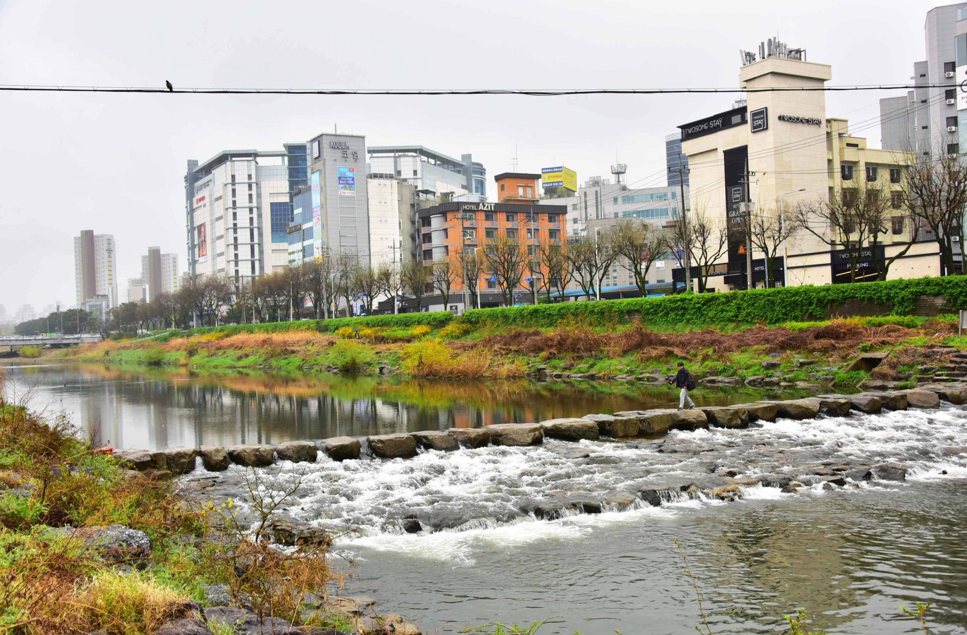 cc3fe6b6145d3.jpg