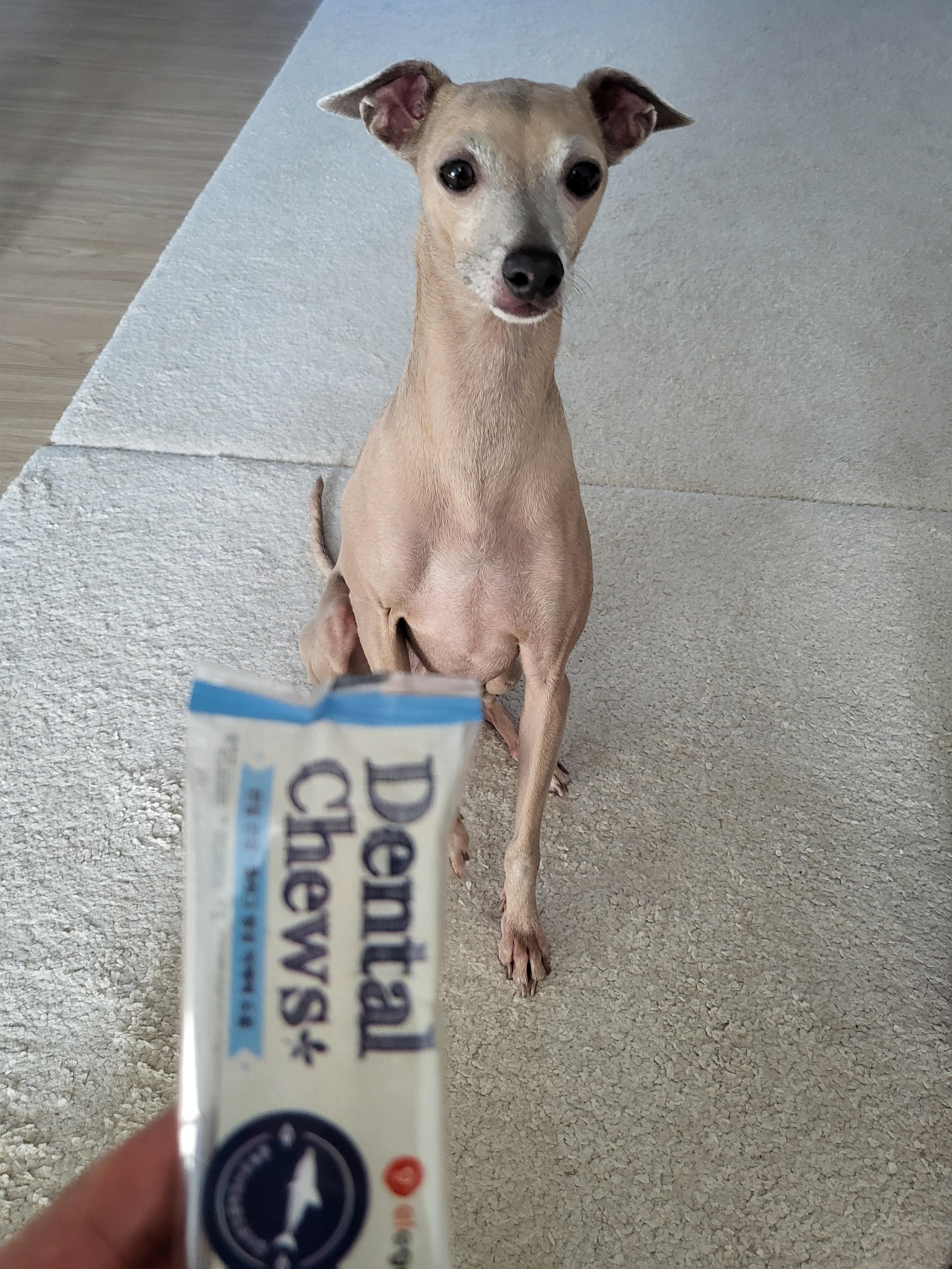 424db59eecf33.jpeg