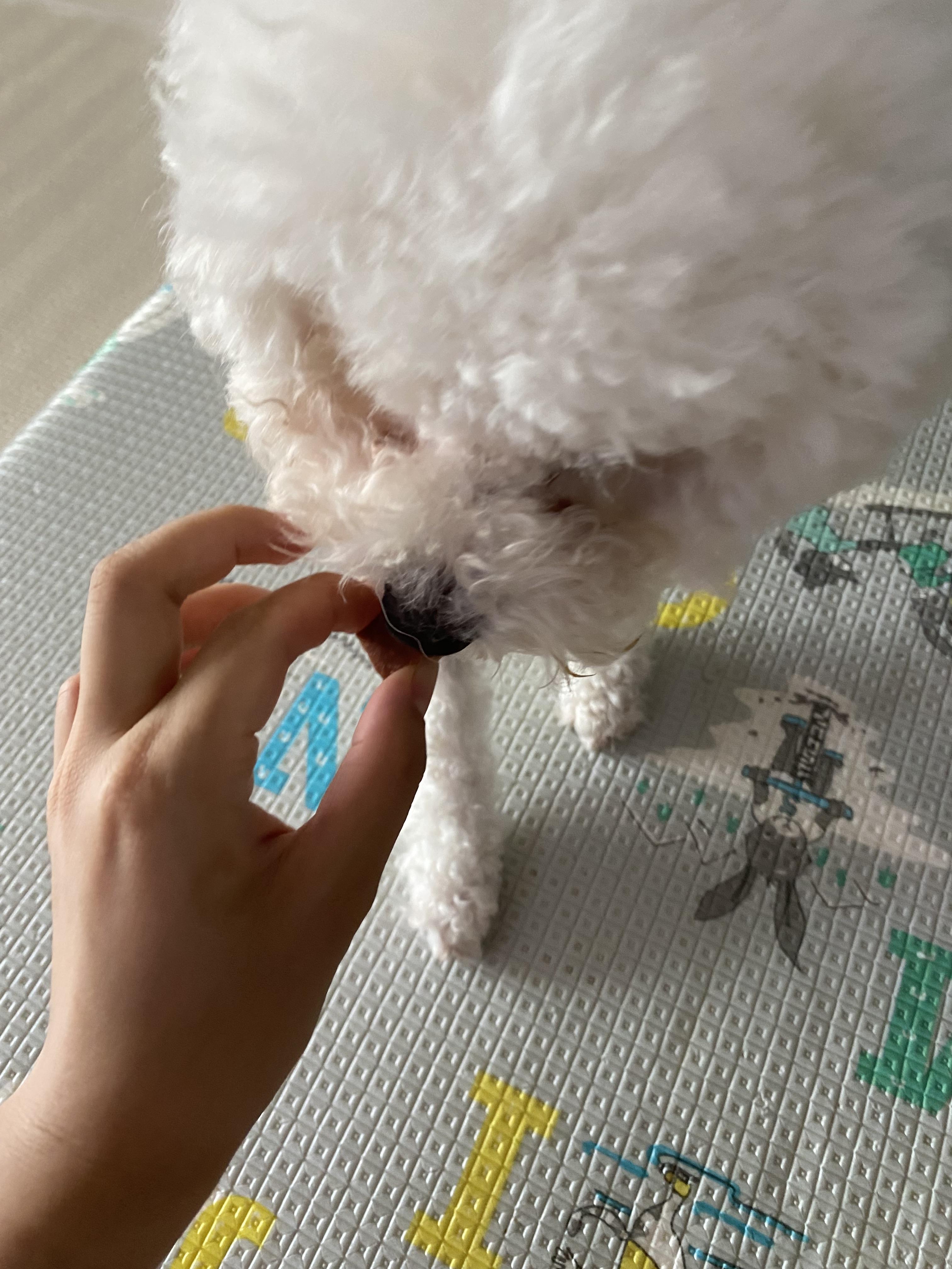d271a8125cf75.jpeg