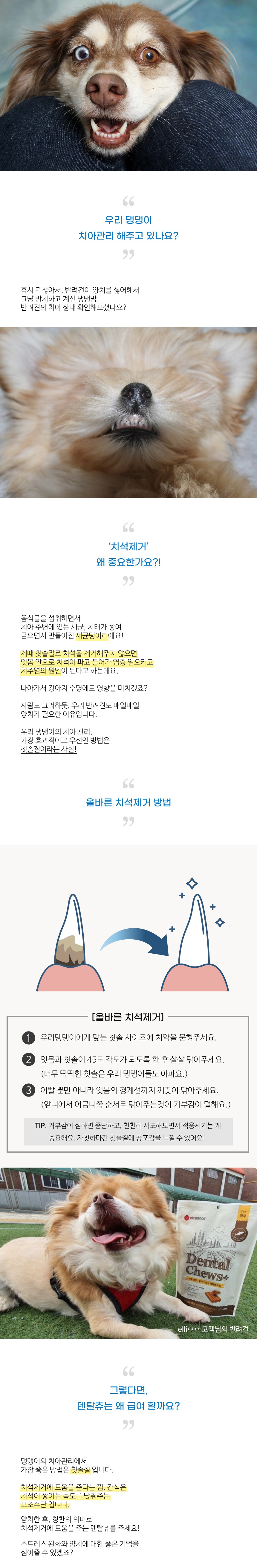 엘레강스 저알러지 가수분해 간식 덴탈츄 피부건강 20개