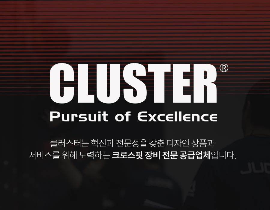 클러스터 파워리프팅 플레이트 한쌍 주물 원판 크로스핏 역도