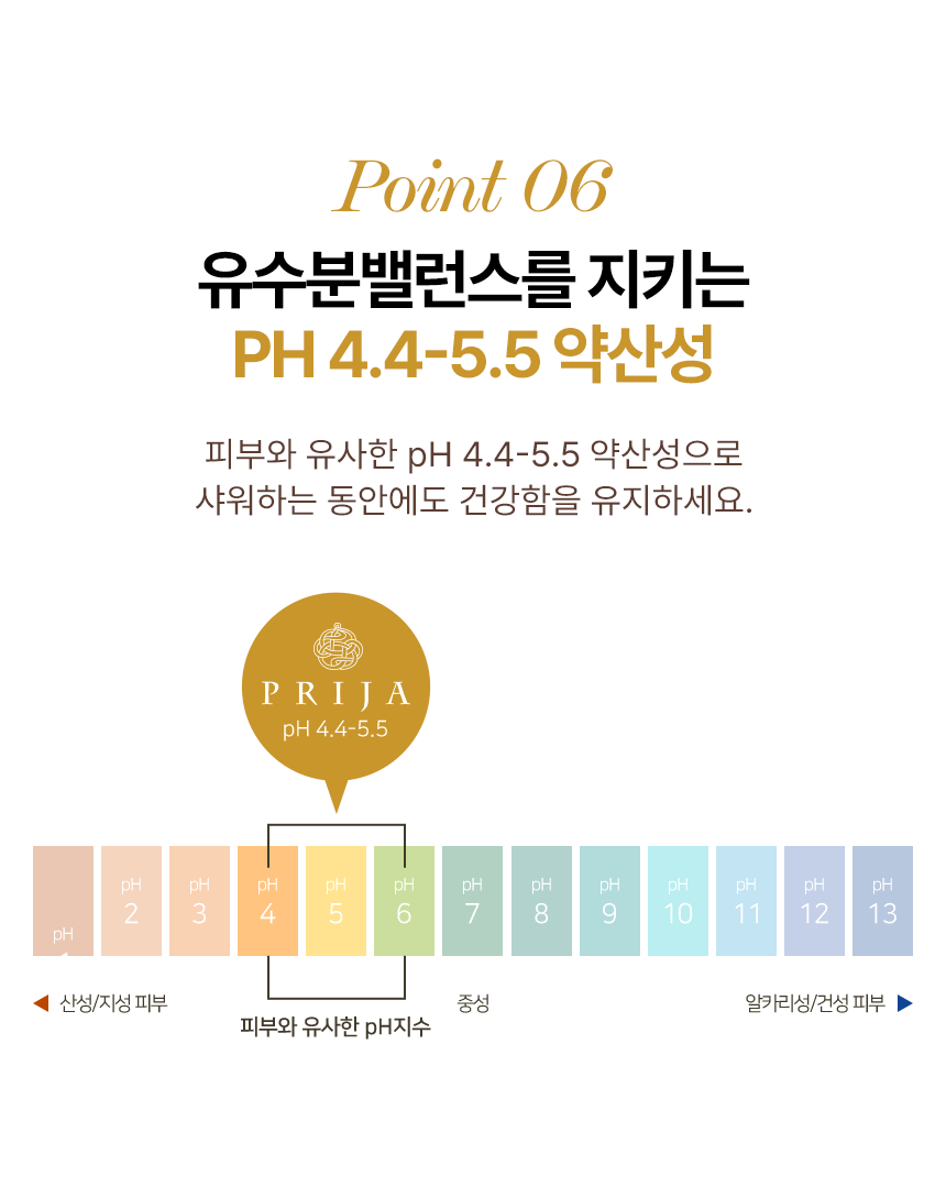 PRIJA 프리야 프로텍티브 컨디셔너 380ml