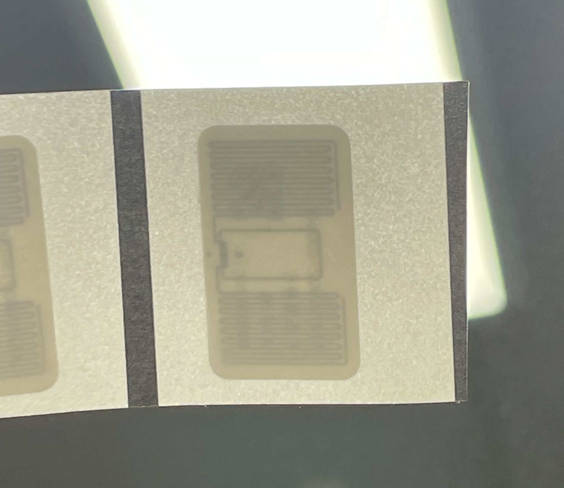 셀메이트 RFID 칩 2