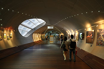 Observation Culture Complex