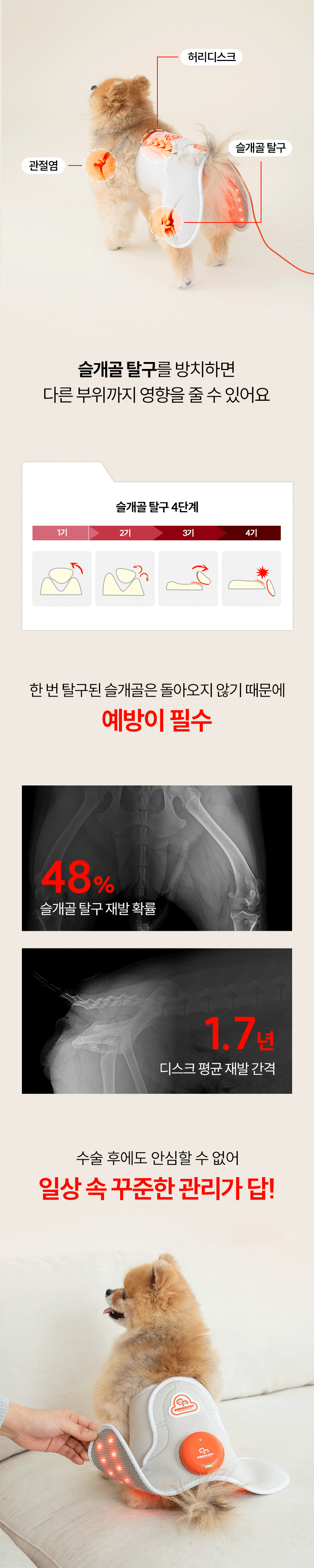 시리어스펫 슬개골 관절 따땃망토