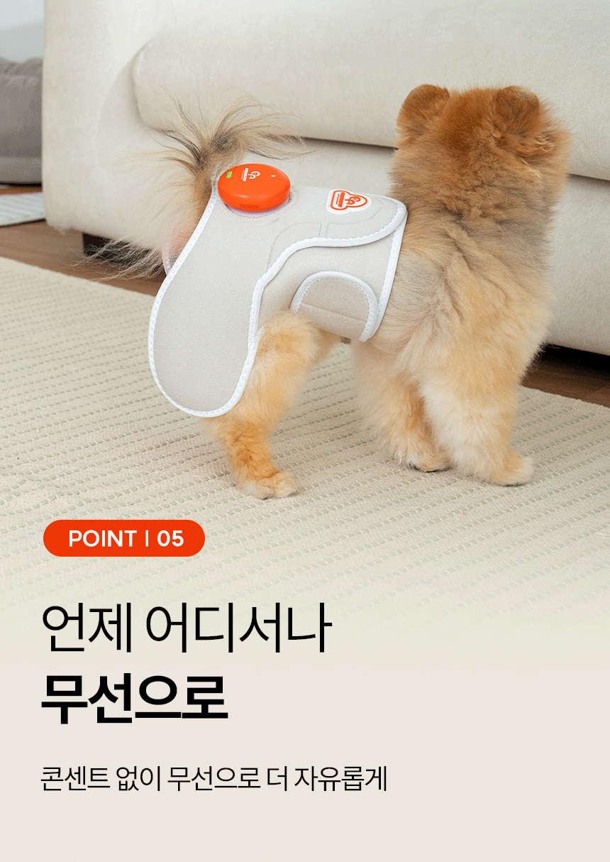 시리어스펫 슬개골 관절 따땃망토