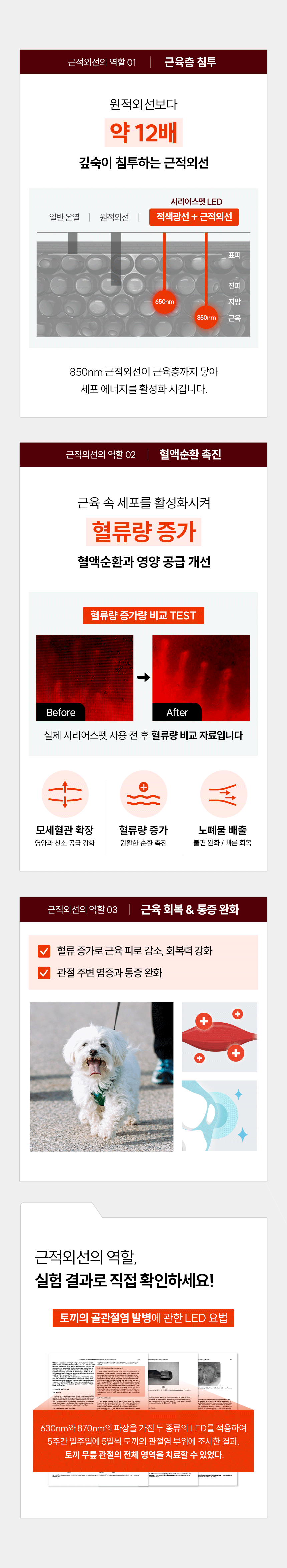 시리어스펫 슬개골 관절 따땃망토