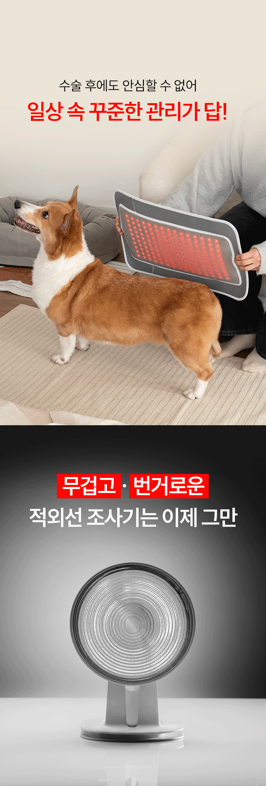 시리어스펫 x 멍스타 애견유치원