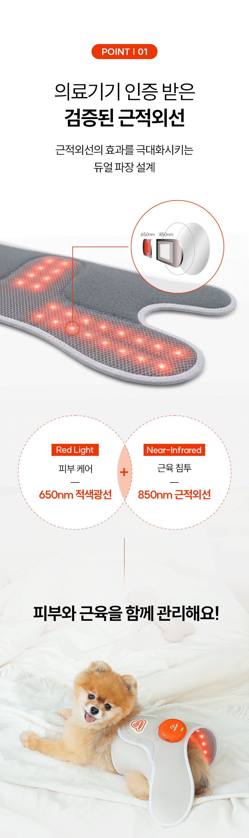 시리어스펫 슬개골 관절 따땃망토