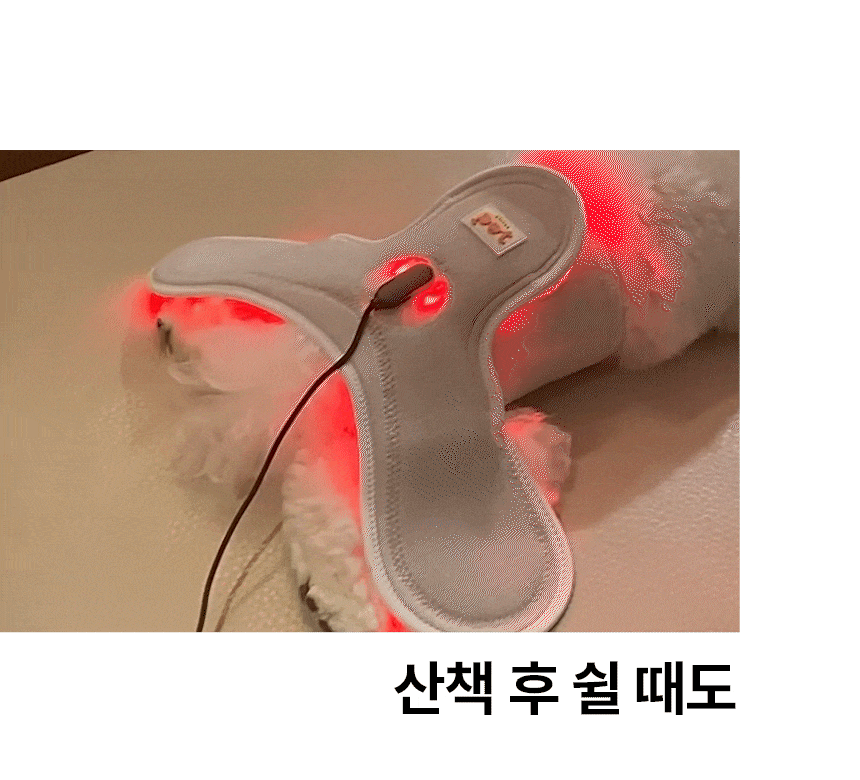 시리어스펫 슬개골 관절 따땃망토