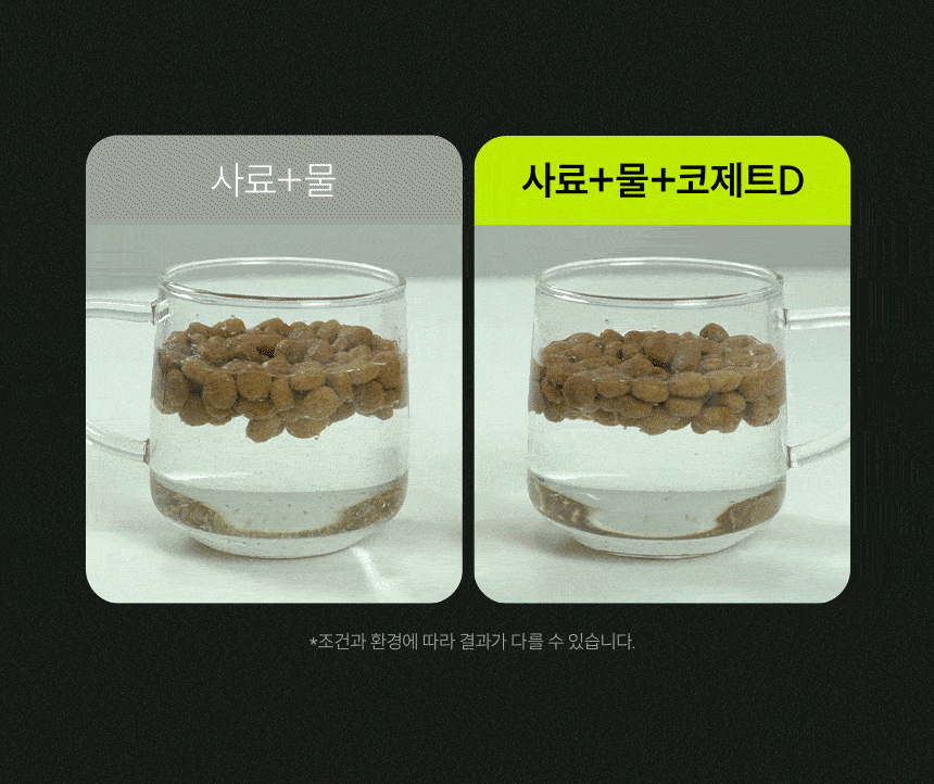 시리어스펫 강아지 소화 영양제 코제트 D