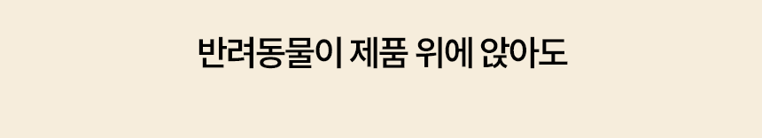 시리어스펫 슬개골 관절 따땃망토