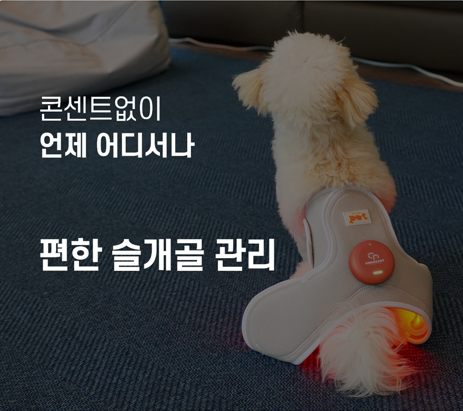 a92c5709d2bc6.png