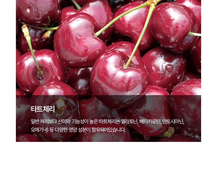[공식] 편안한 휴식을 위한 음료 슬리핑보틀 10병 (사은품증정)