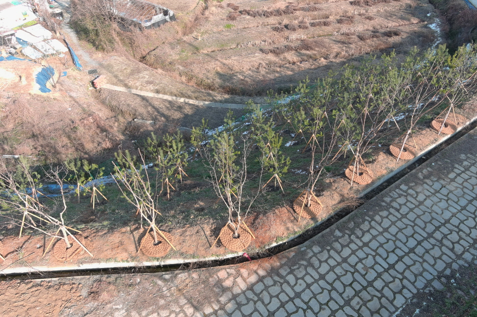 9d775e0fc02da.jpg