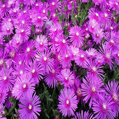 a17fccc0822f8.jpg
