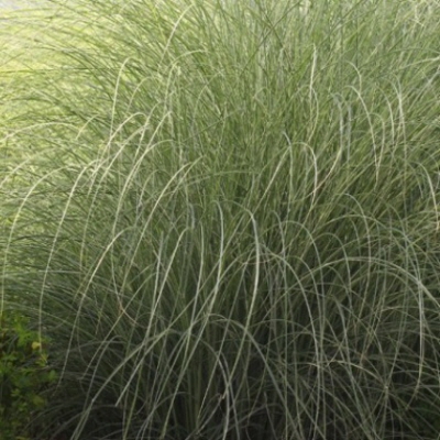 d0874ab36967f.jpg