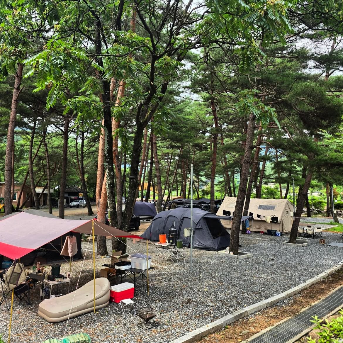 텐트와 캠핑 장비가 설치된 사이트