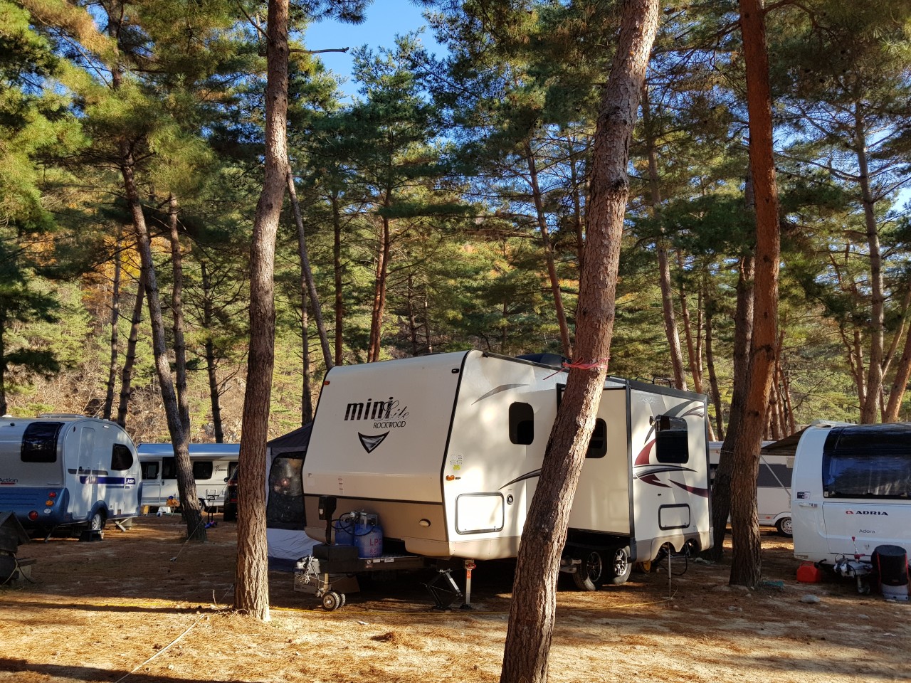 캠핑장 텐트 풍경