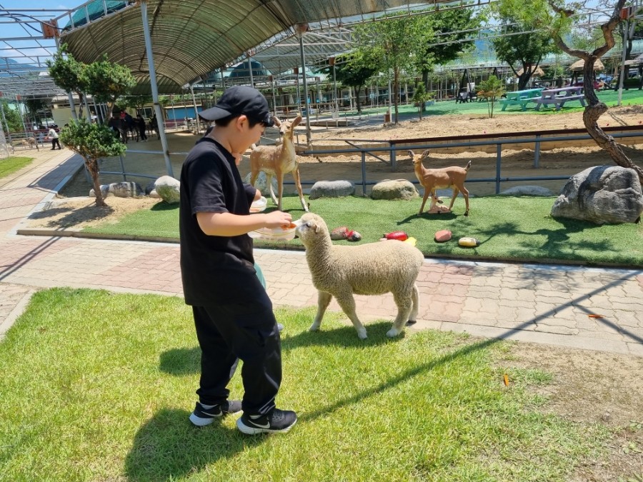 동키마을 동물 사진 3