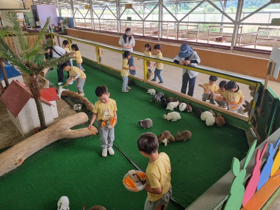 동키마을 동물 사진 1
