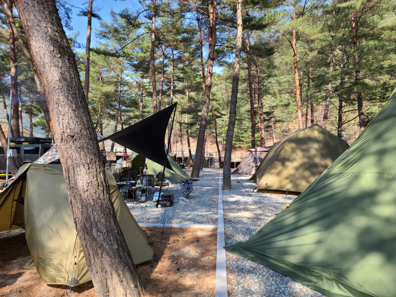용오름캠핑장 사이트