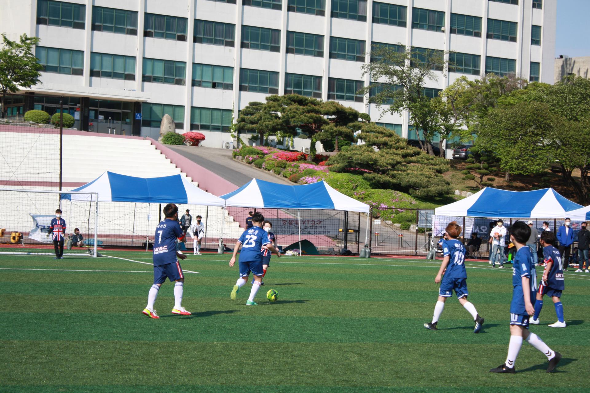 a335117b412e3.jpg