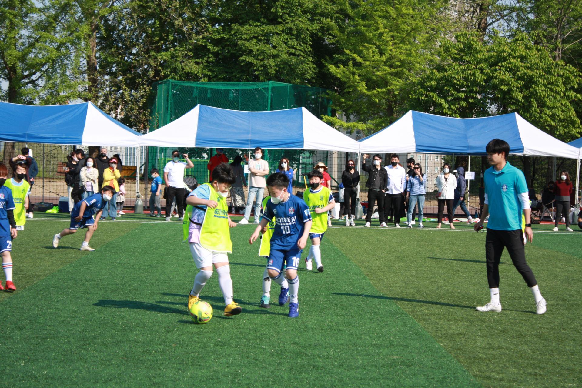 c9929eaa8d41f.jpg