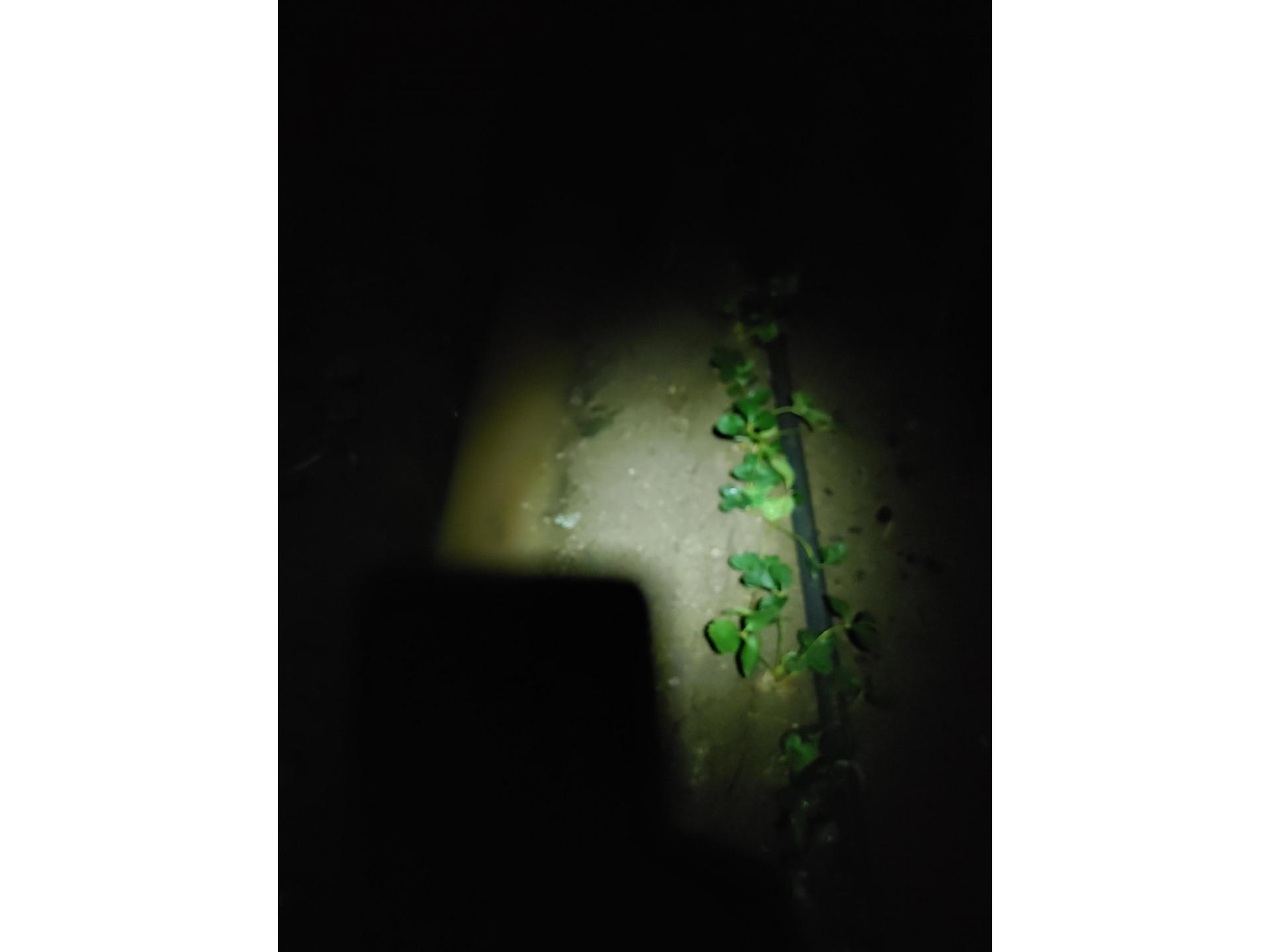 0397edb4044de.jpg
