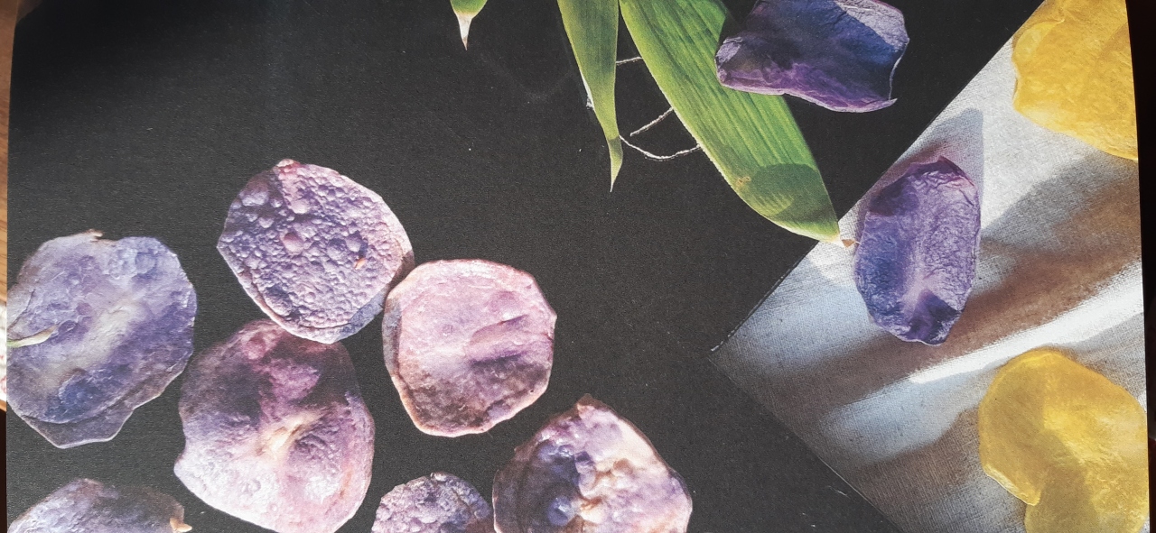 4.요리책사진 (2).jpg