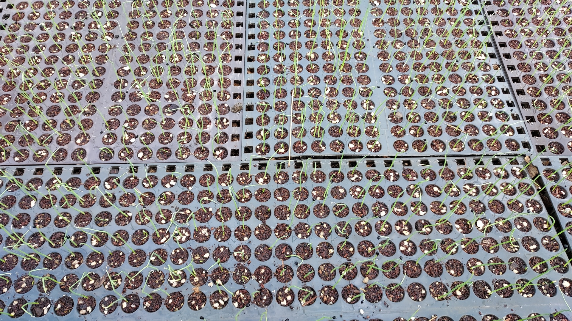 0889152843821.jpg