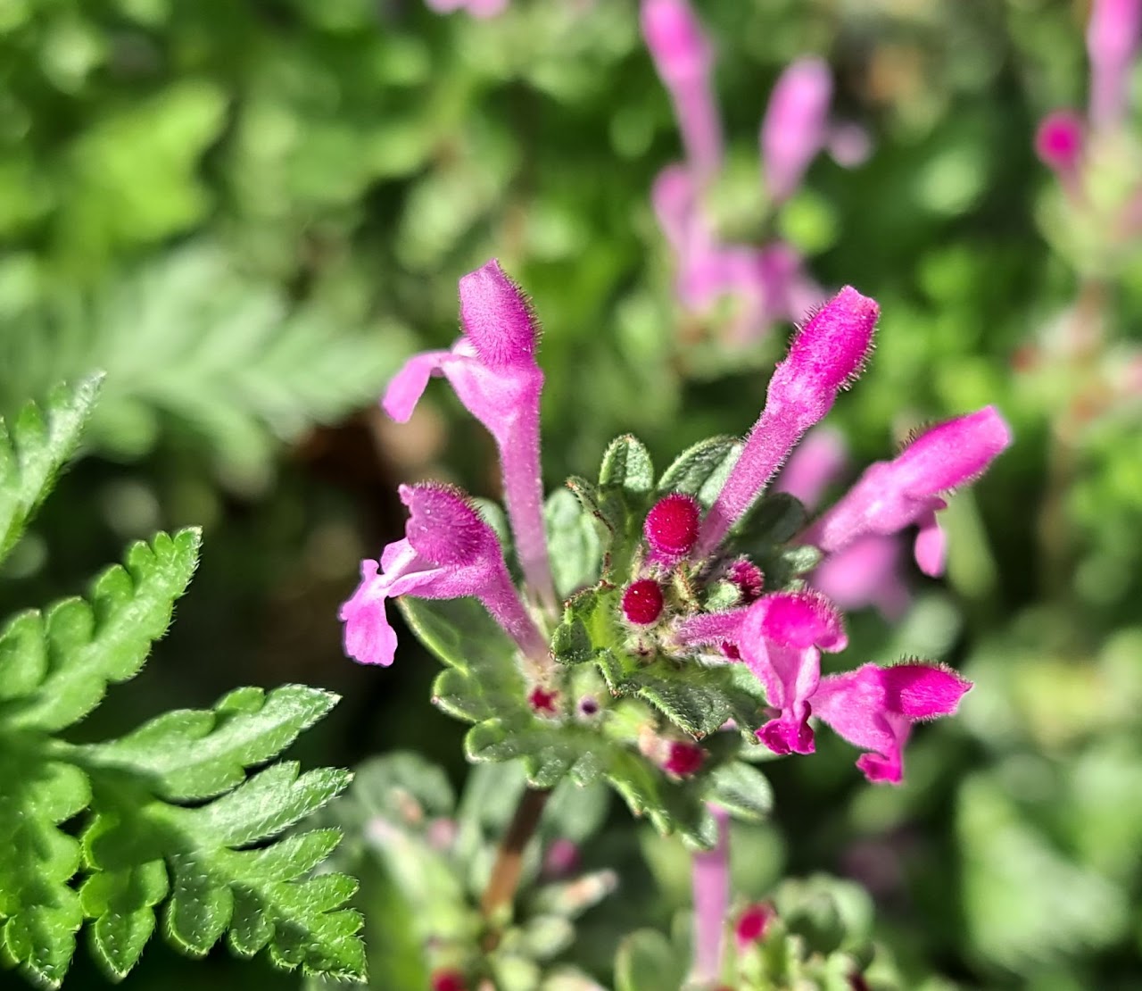 192cf6f7538d7.jpg