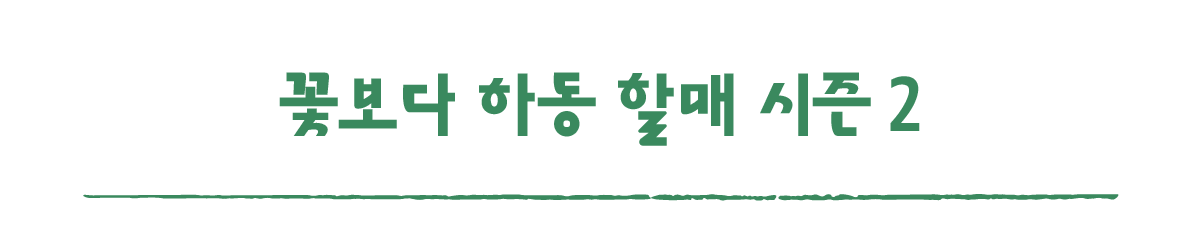 작은변화탐험대_하동_따로활동_8_꽃보다 하동 할매 시즌 2.png