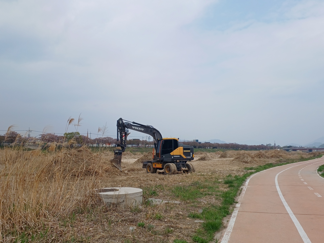 7.요천 갈대숲을 파헤치고 있는 굴삭기.jpg