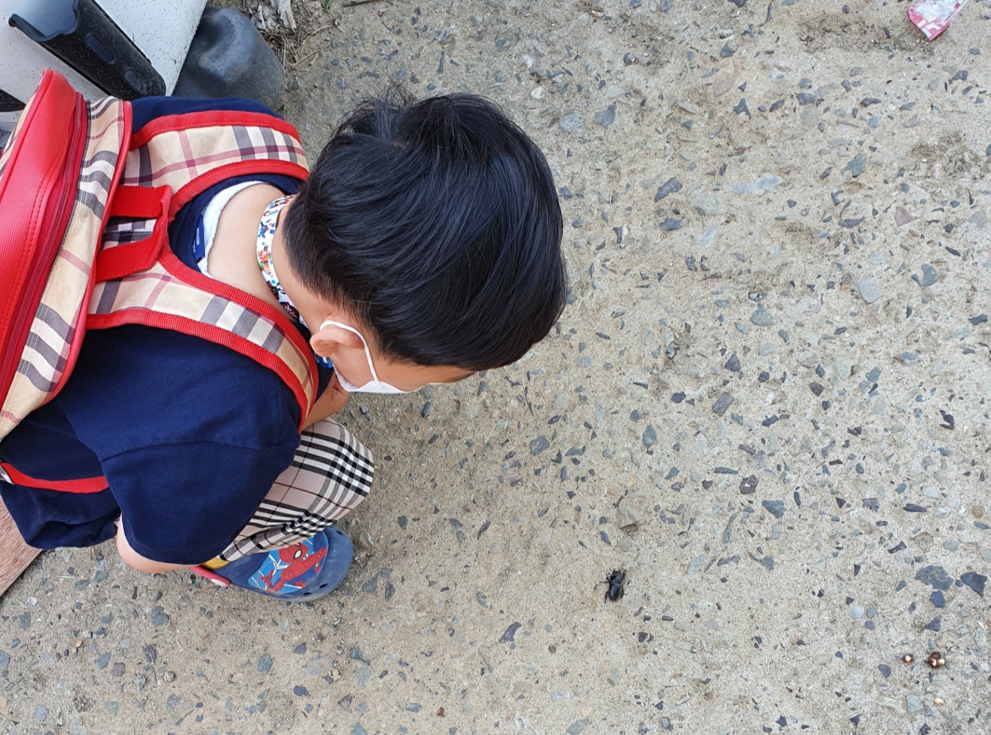 4-2지훈이와 곤충 (1).jpg