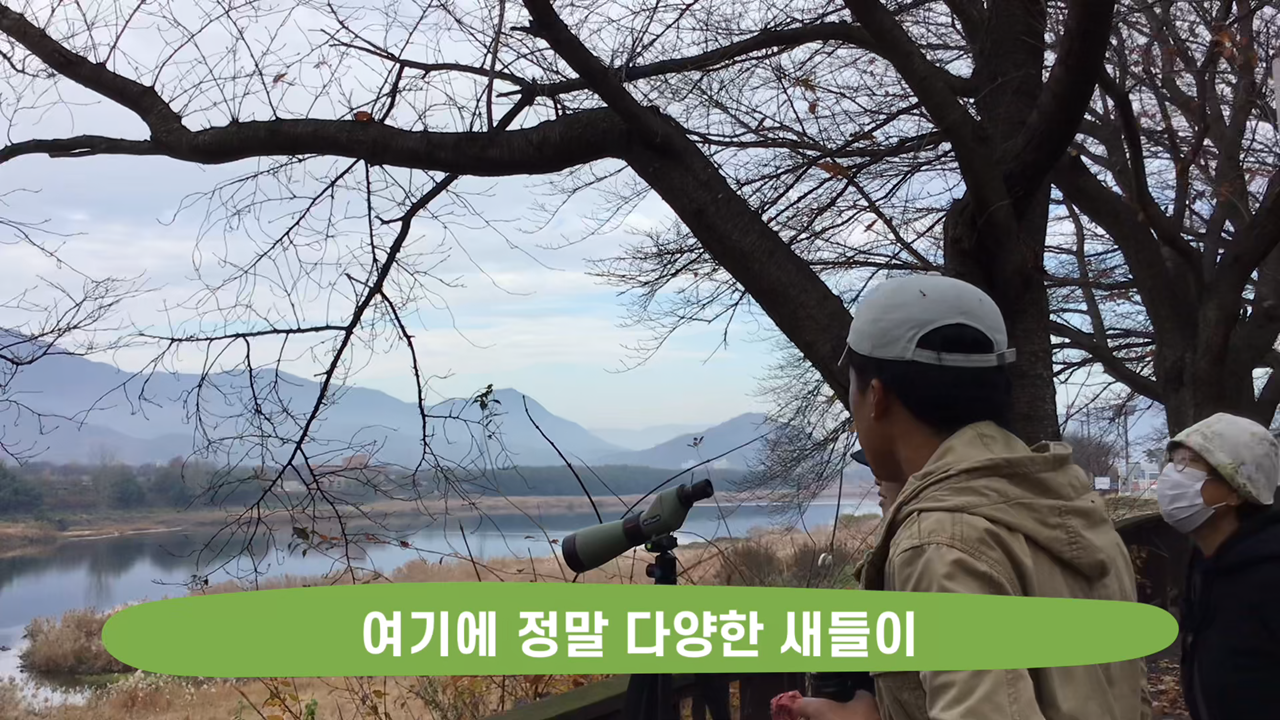 칩코와 구례이웃생물들 17화_4.png