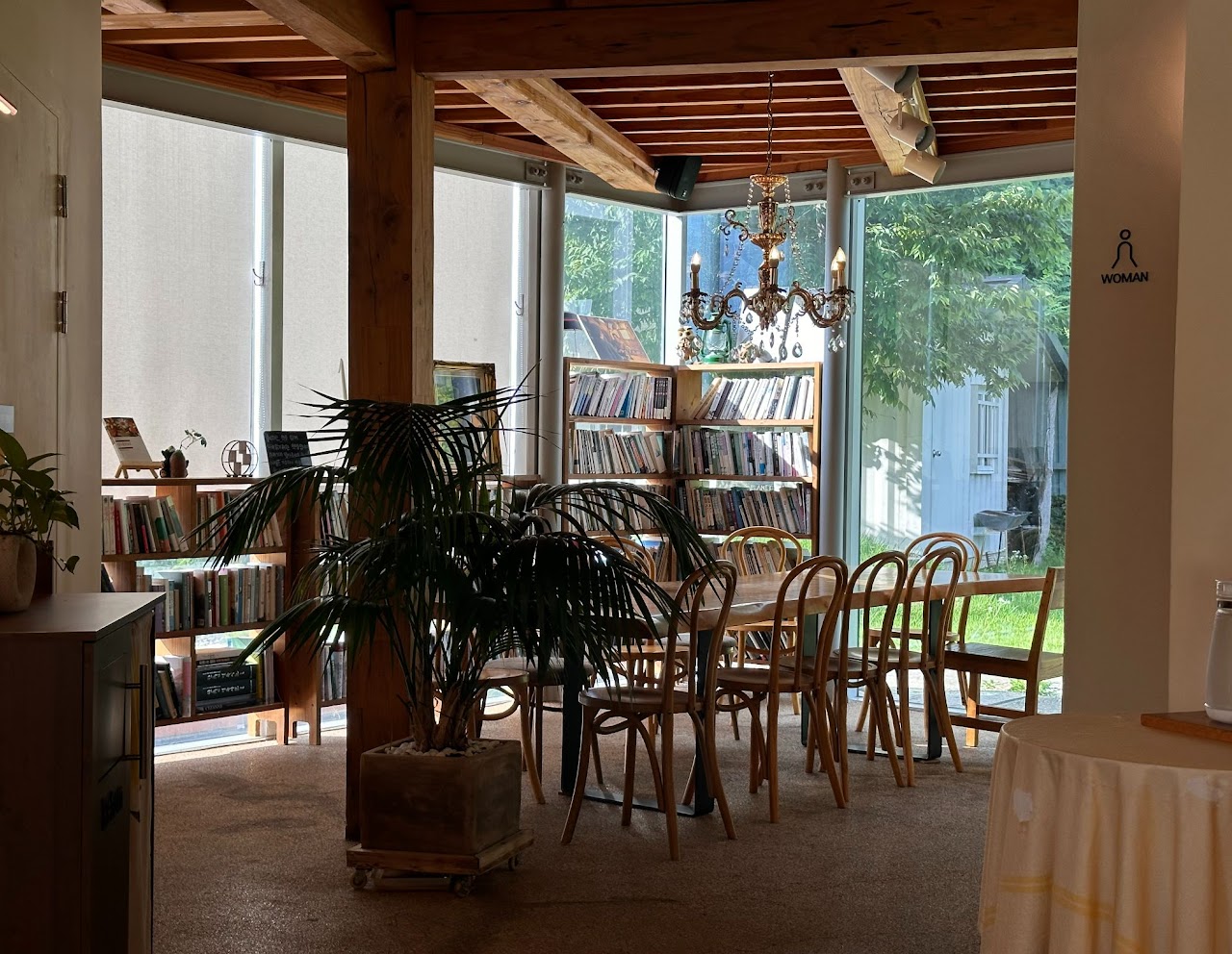 5e1a2541084e3.jpg
