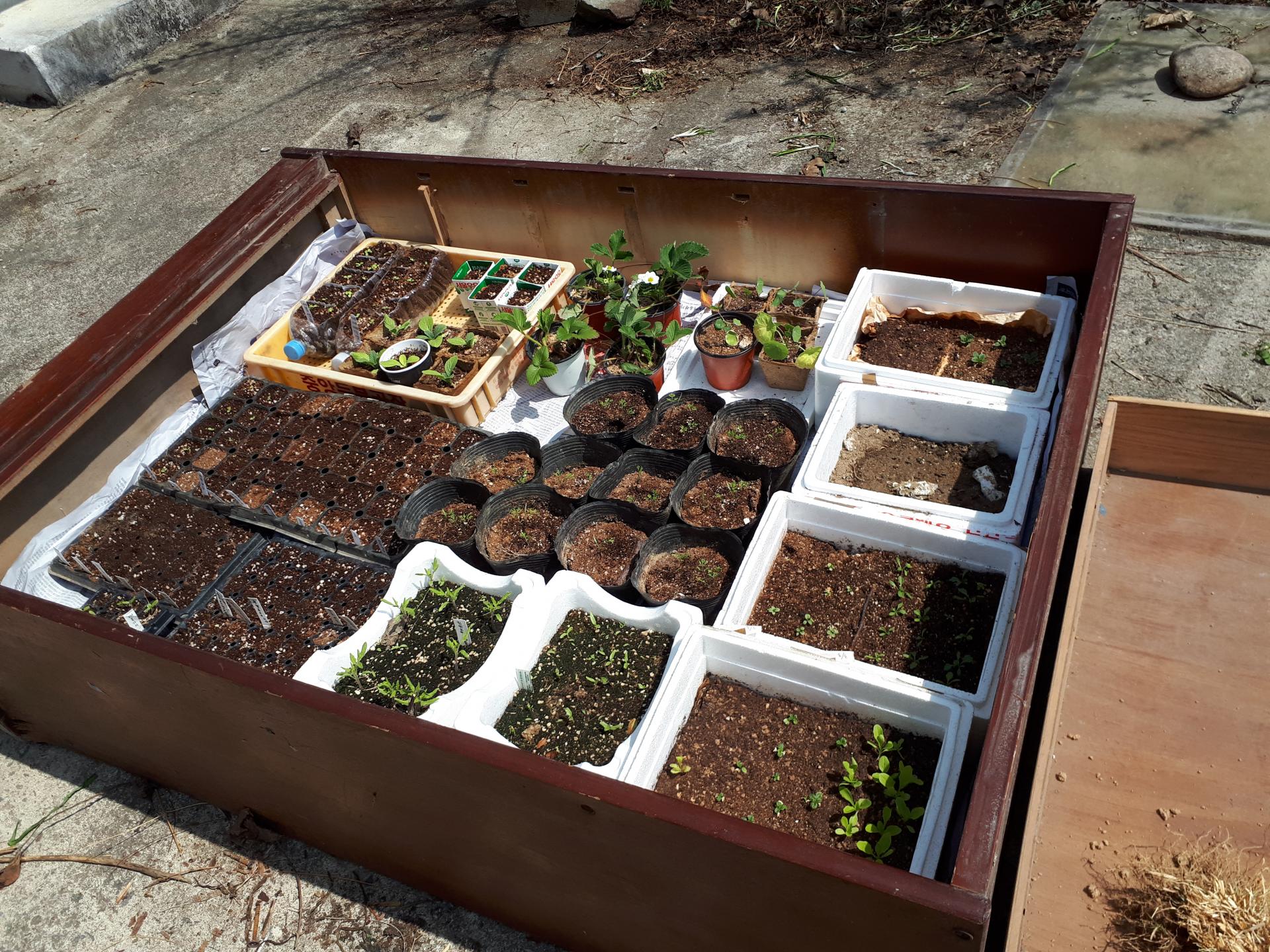 구례_4월_구례기후위기세포학교 (6).jpg